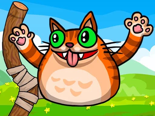 Öfkeli Kedi Atışı