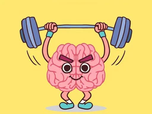 Perfect Brain 3D Puzzle