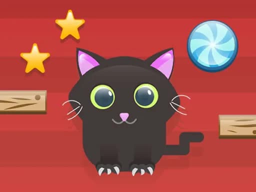 Kedi İçin Kes