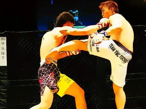 UFC Dövüş Maçı Yapboz